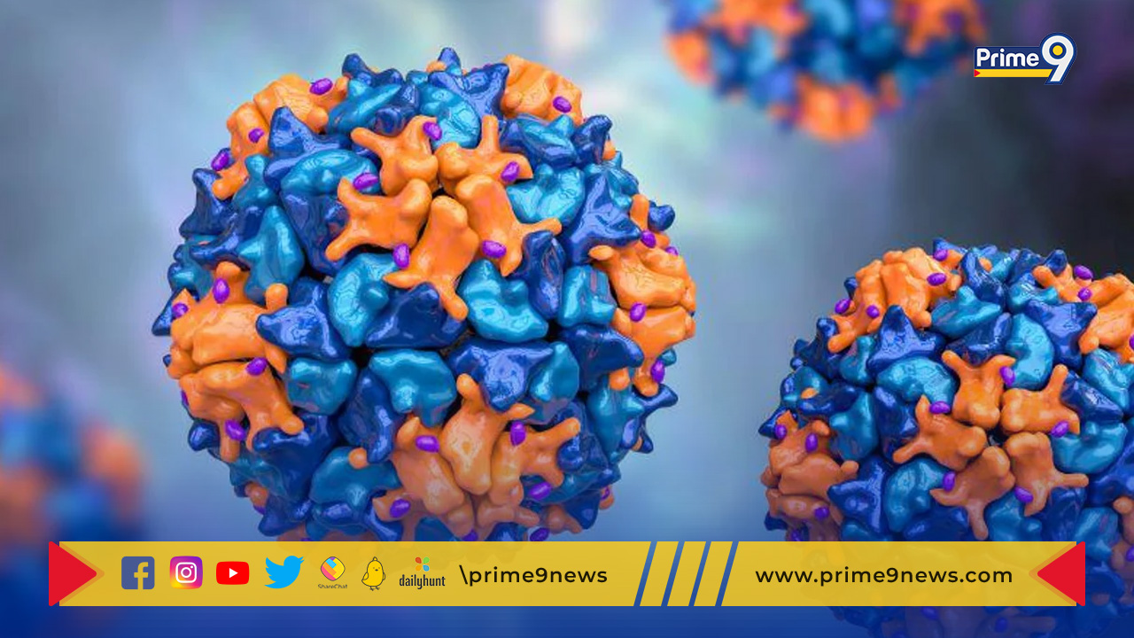 Polio virus: న్యూయార్క్ లో బయటపడ్డ పోలియో వైరస్‌