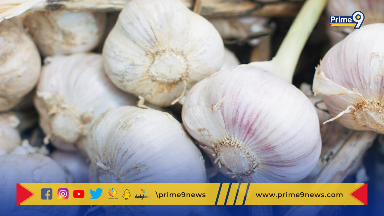 Health Benefits Of Garlic: వెల్లుల్లి వల్ల కలిగే ప్రయోజనాలు ఇవే..