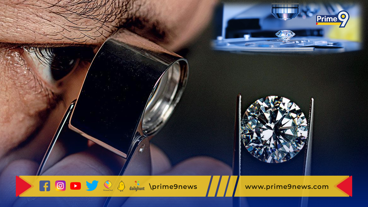 Lab grown Diamonds: వజ్రాలకు భారతదేశం అతిపెద్ద మార్కెట్‌గా మారనుందా?