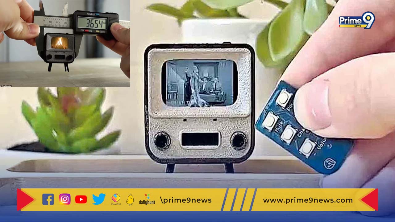 World’s Smallest TV: ప్రపంచంలోనే అత్యంత చిన్న టీవీ.. దీని సైజ్ ఎంతో తెలిస్తే ఔరా అనక మానరు..!