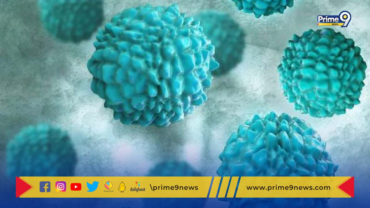 Norovirus: నోరోవైరస్ అంటే ఏమిటి? దీని లక్షణాలు ఎలా ఉంటాయి?