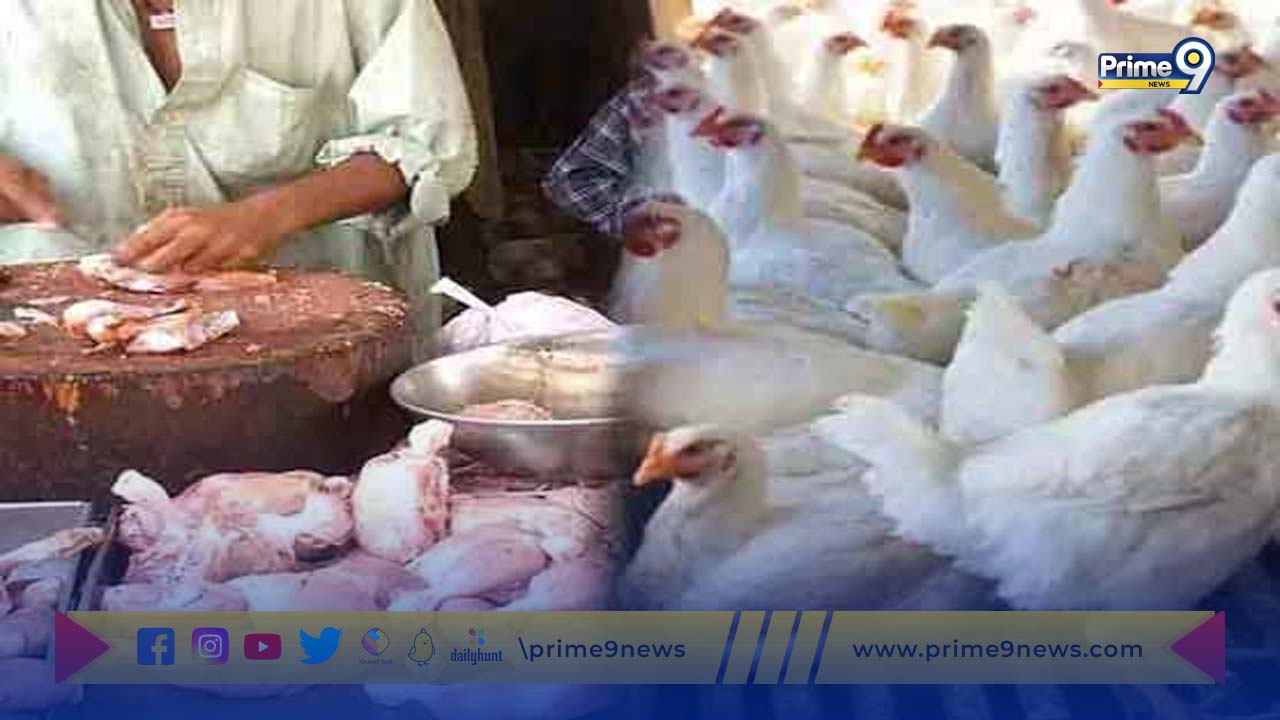 Chicken Price: పాకిస్తాన్‌లో కిలో చికెన్ ధర రూ.700.. ఎందుకు ఇలా పెరుగుతోంది?
