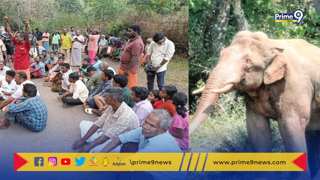 Kerala wild Elephant: కేరళలో అడవి ఏనుగుకు వ్యతిరేకంగా ఏడు పంచాయతీల హర్తాళ్ .. ఎందుకో తెలుసా?