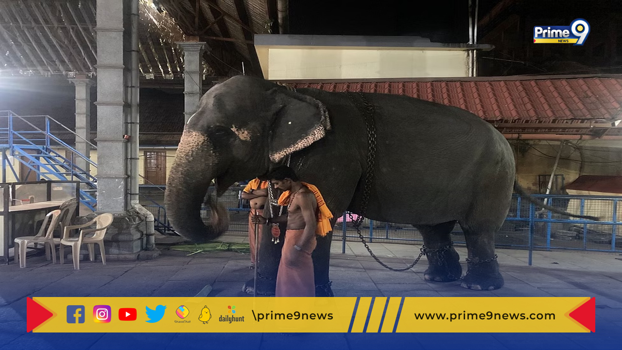 Robotic Elephant: కేరళ ఆలయంలో పూజల కోసం రోబో ఏనుగు