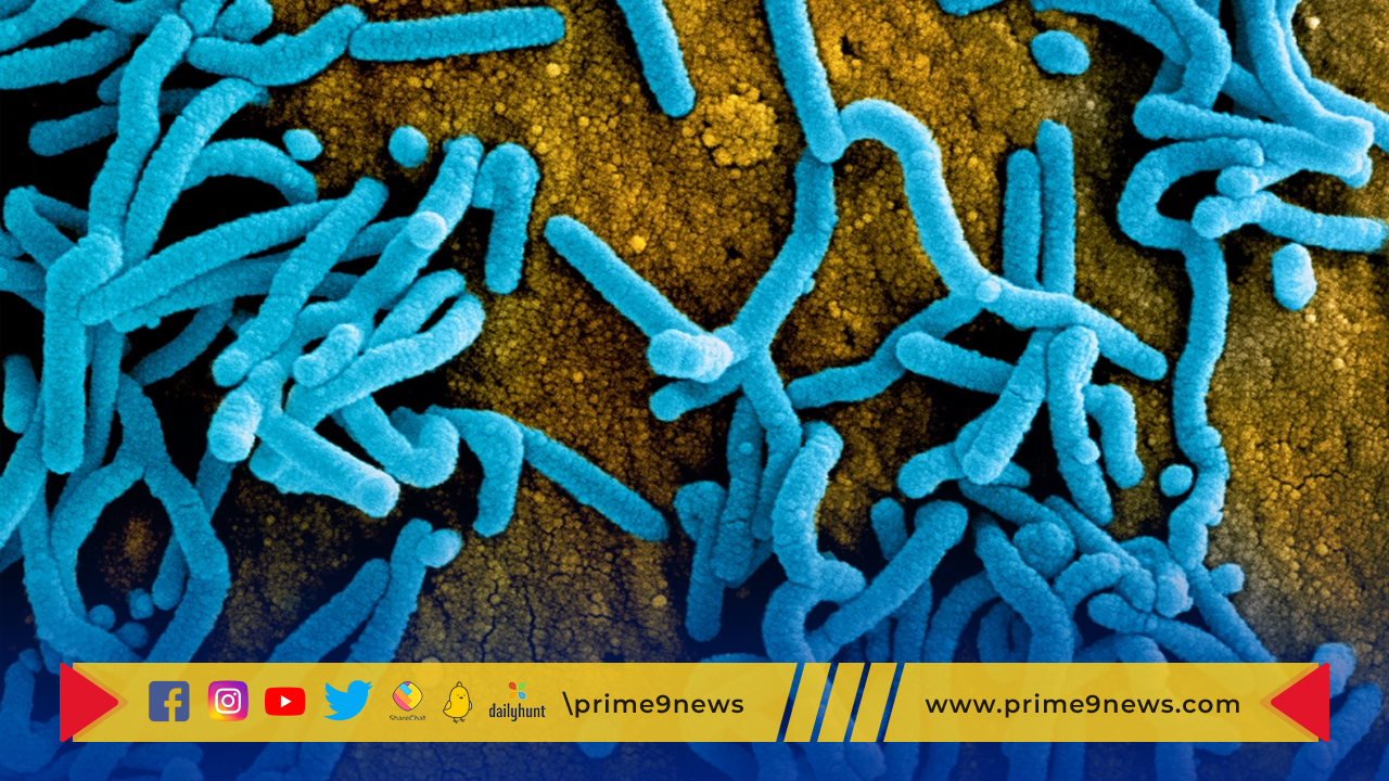 Marburg virus: ఆఫ్రికాలో మార్బర్గ్ వైరస్ కలకలం
