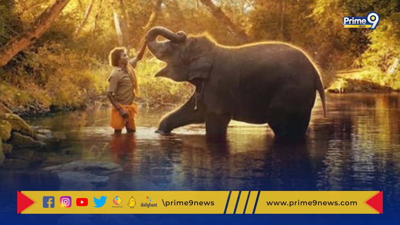 The Elephant Whisperers: ఆస్కార్‌ గెలిచిన భారతీయ చిత్రం.. చరిత్ర సృష్టించిన ది ఎలిఫెంట్ విస్పరర్స్!