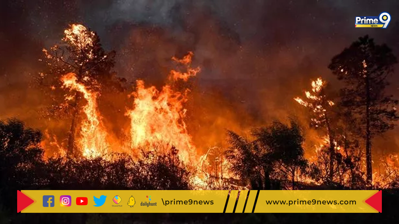 Algeria Wildfire: అల్జీరియాలో కార్చిచ్చు..  10 మంది సైనికులతో సహా 25 మంది మృతి..
