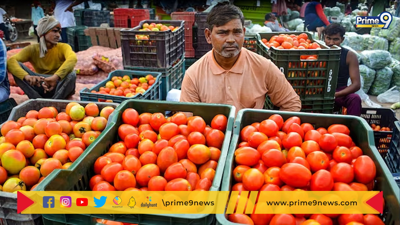 Tomatoes: నేటి నుంచి ఢిల్లీ-ఎన్‌సీఆర్‌, ఇతర నగరాల్లో కిలో రూ. 80కే టమోటాలు