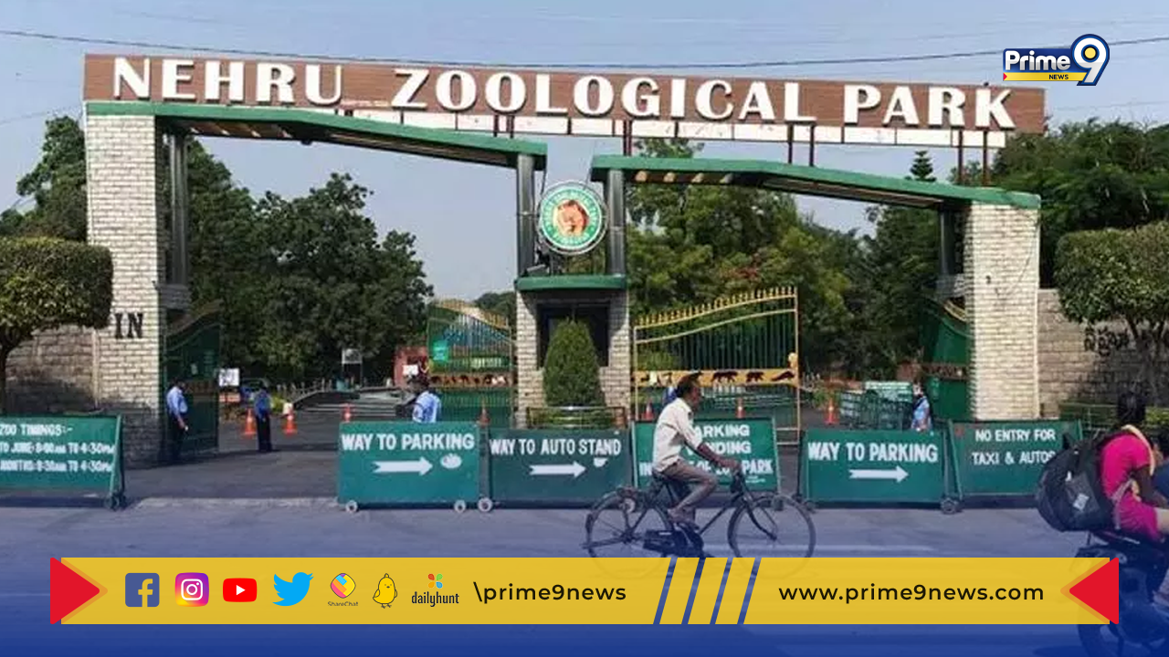 Nehru Zoological Park : హైదరాబాద్ నెహ్రూ జూపార్క్ లో షాకింగ్ ఘటన.. ఏనుగు దాడిలో ఉద్యోగి మృతి