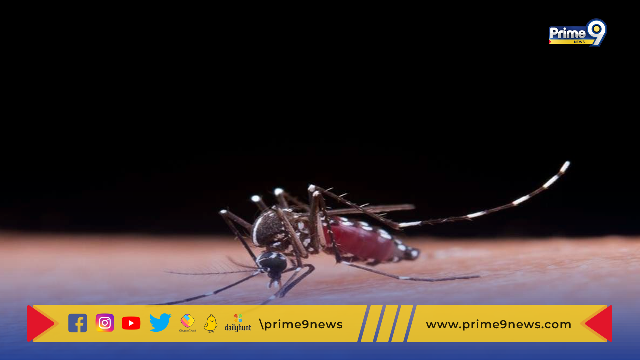 Zika Virus: కర్ణాటకలోని చిక్కబళ్లాపూర్ జిల్లాలో  జికా వైరస్‌.