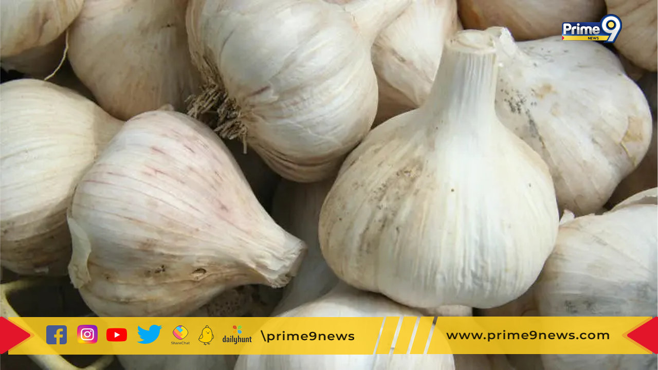 Garlic Prices: పెరుగుతున్న వెల్లుల్లి ధరలు.. ఆందోళనలో వినియోగదారులు